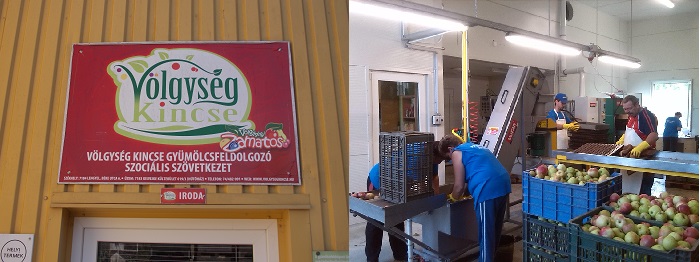 Példás a Kisvejkei Zamatos előállítása